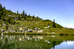 Bike, Verbier 4Vallées